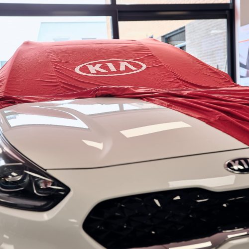 Specialist in Kia